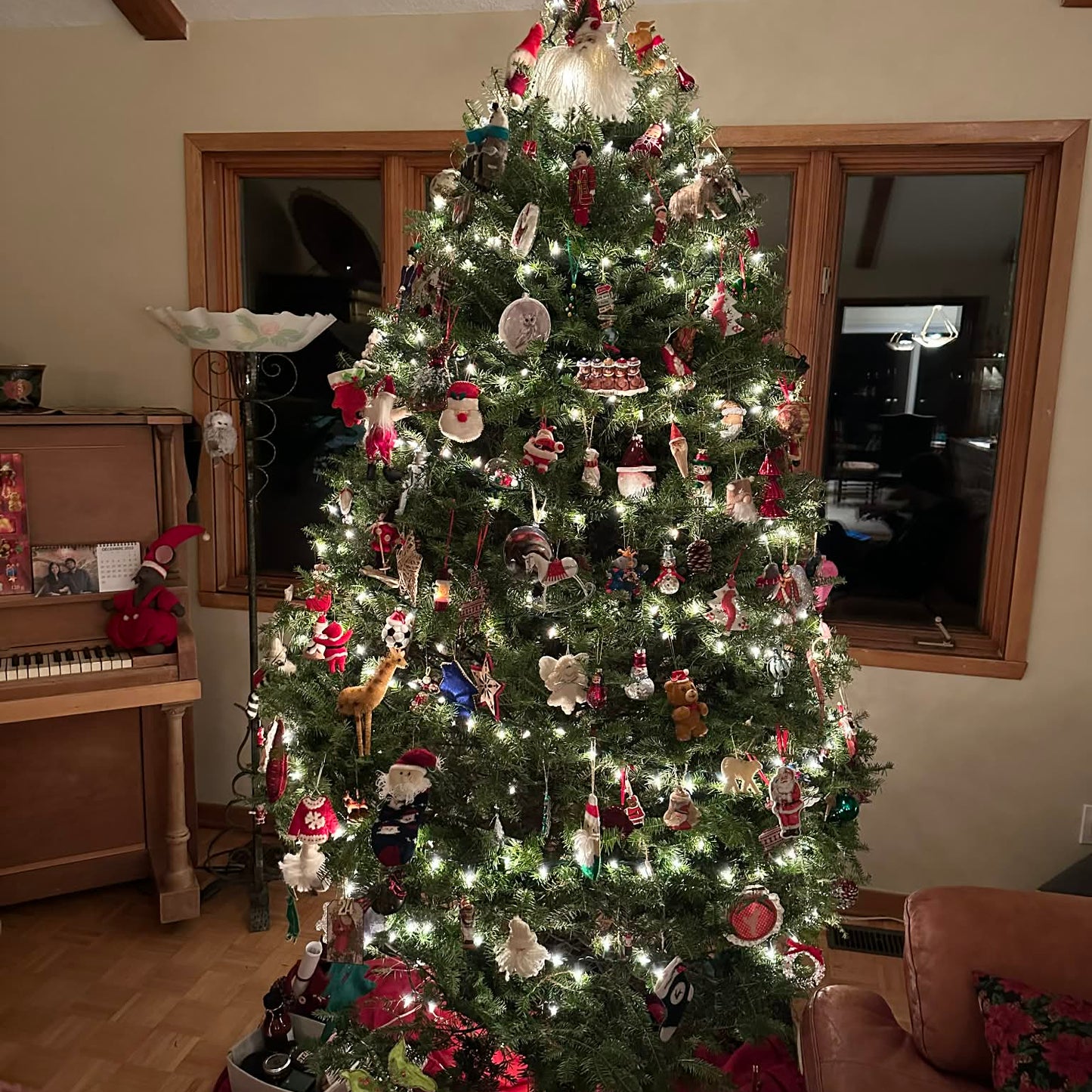 Sapin baumier - PREMIUM - Qualité supérieure